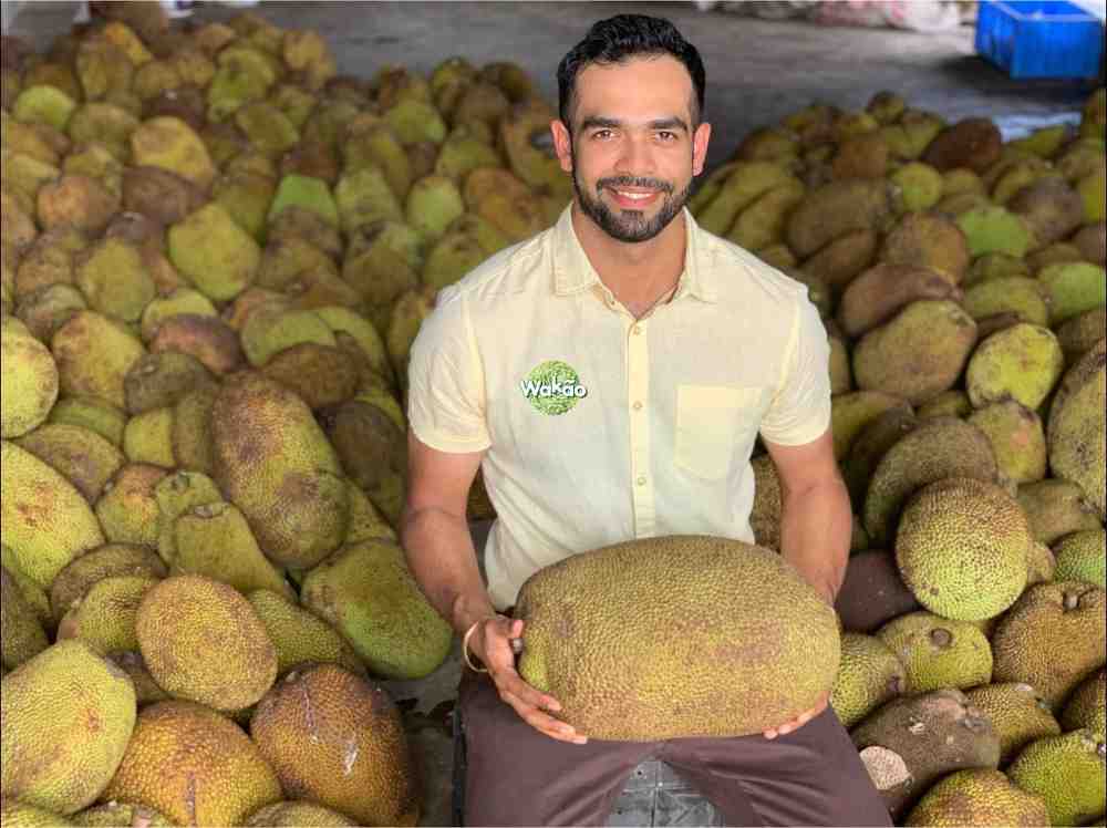 Wakao Foods-a successful manufacturer of jackfruit products!