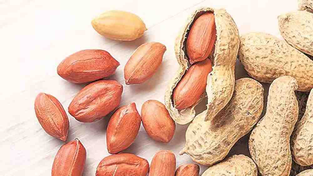 2 crore daily trade in peanut trade in Alangudi!