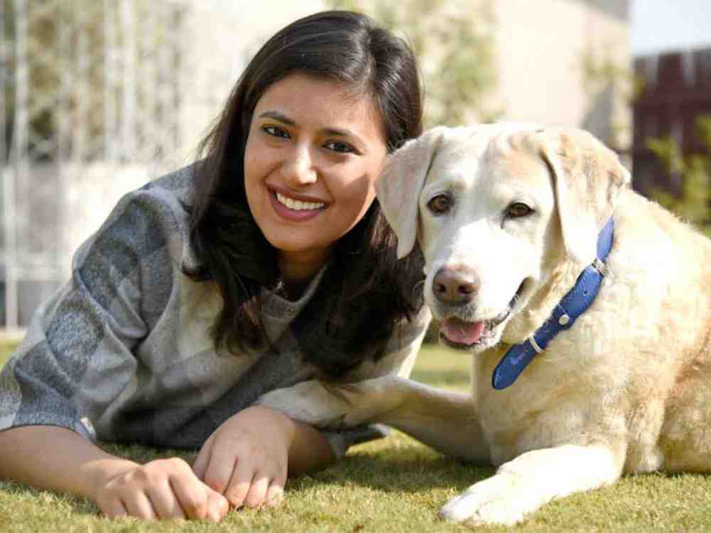 HUFT march towards the 50 crore club with a pet dog