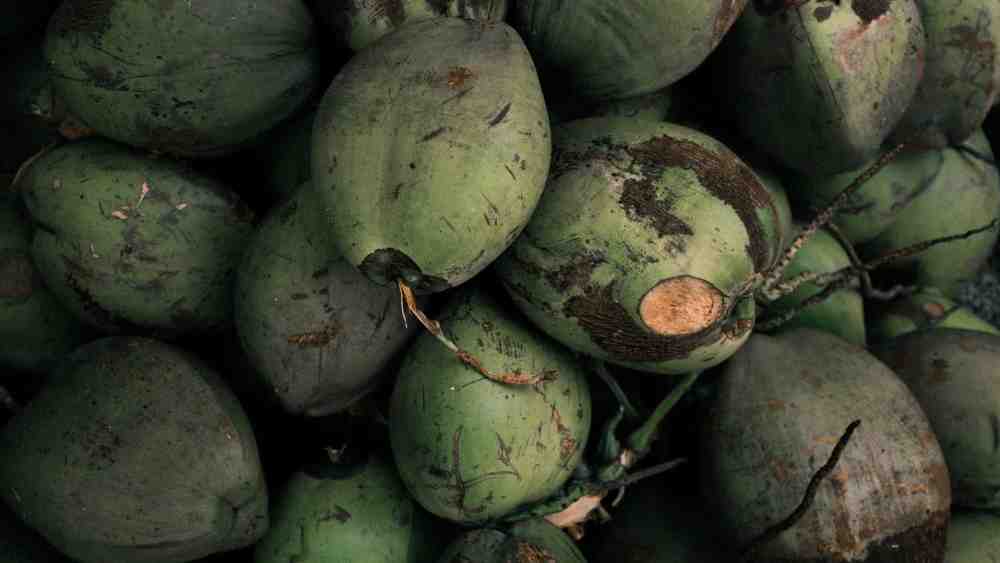 A Philippines-based startup is making food goods out of coconut